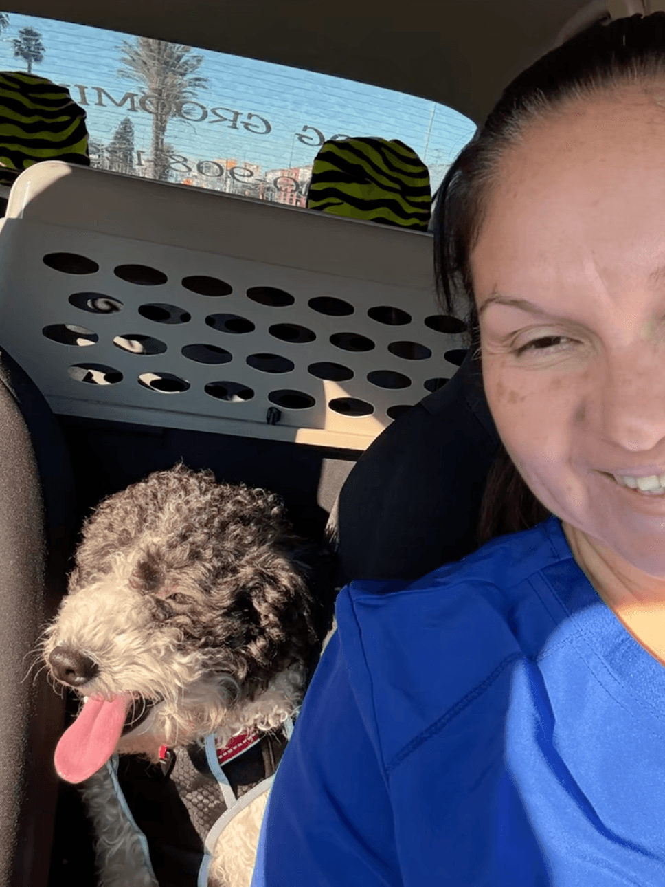 Yolis with a dog on the way to an appointment